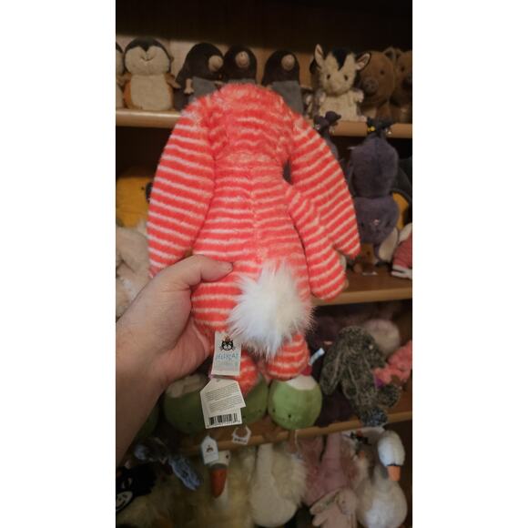 Jellycat BASHFUL EVEY BUNNY - Medium 12" - Retired - Authentic - New with Tags - Picture 4 of 4